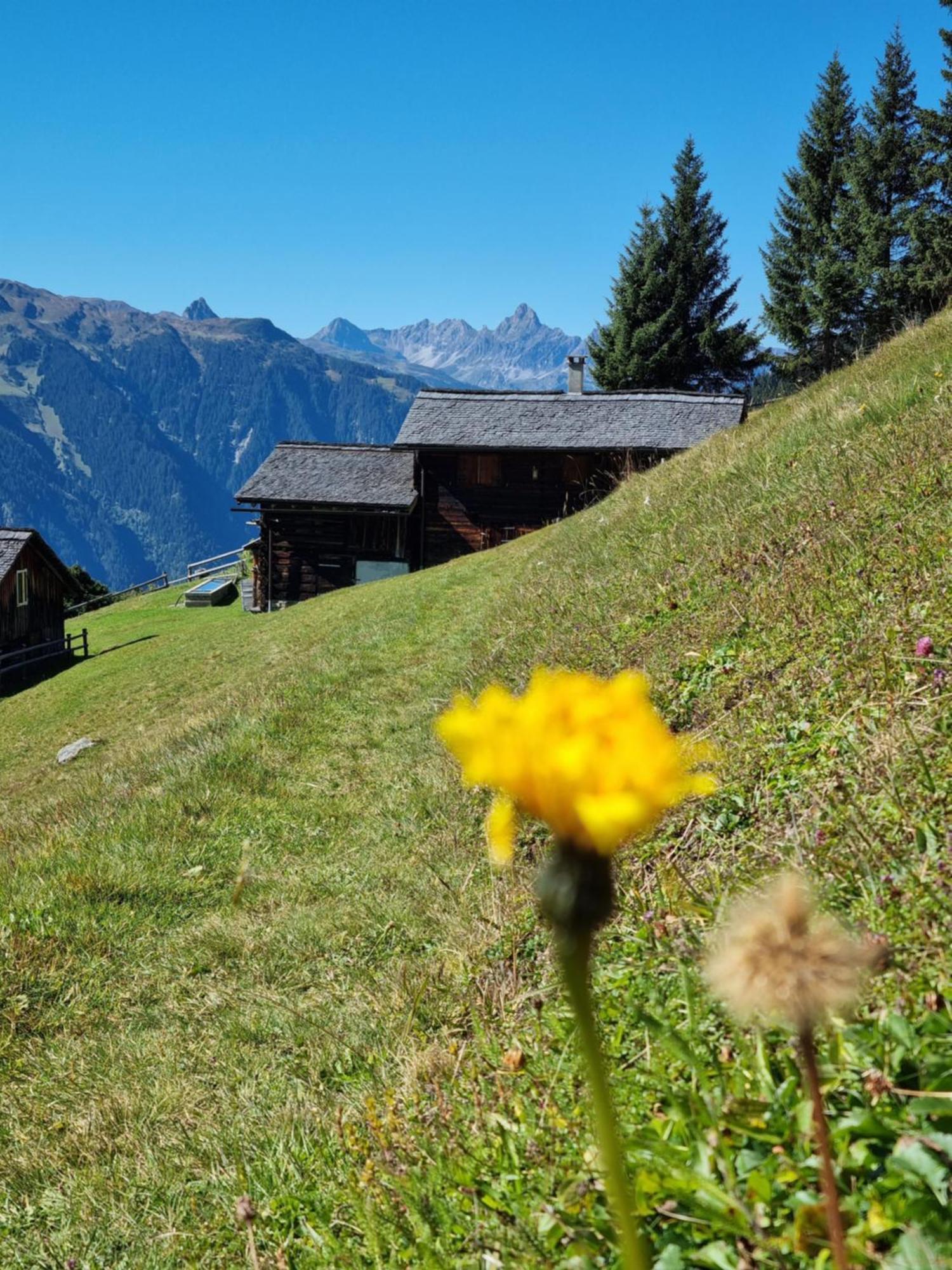 14 Sankt Gallenkirch